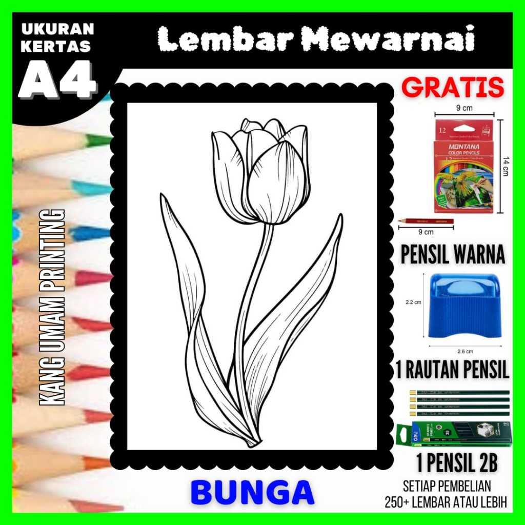 

Lembar Mewarnai Gambar Berbagai Macam Bunga Semua Usia Bagian 09, Sketsa , Kertas Mewarnai , Drawing