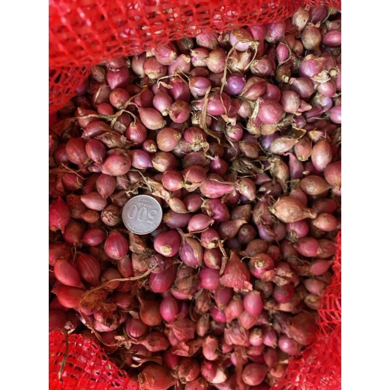 

(1000gr) bawang merah brebes kecil/lembut (i)