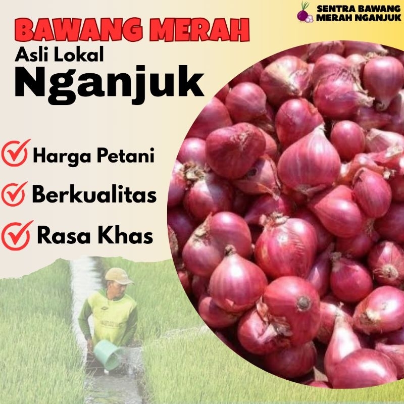 

Murah!!! Bawang Merah Nganjuk Great A besar 1kg