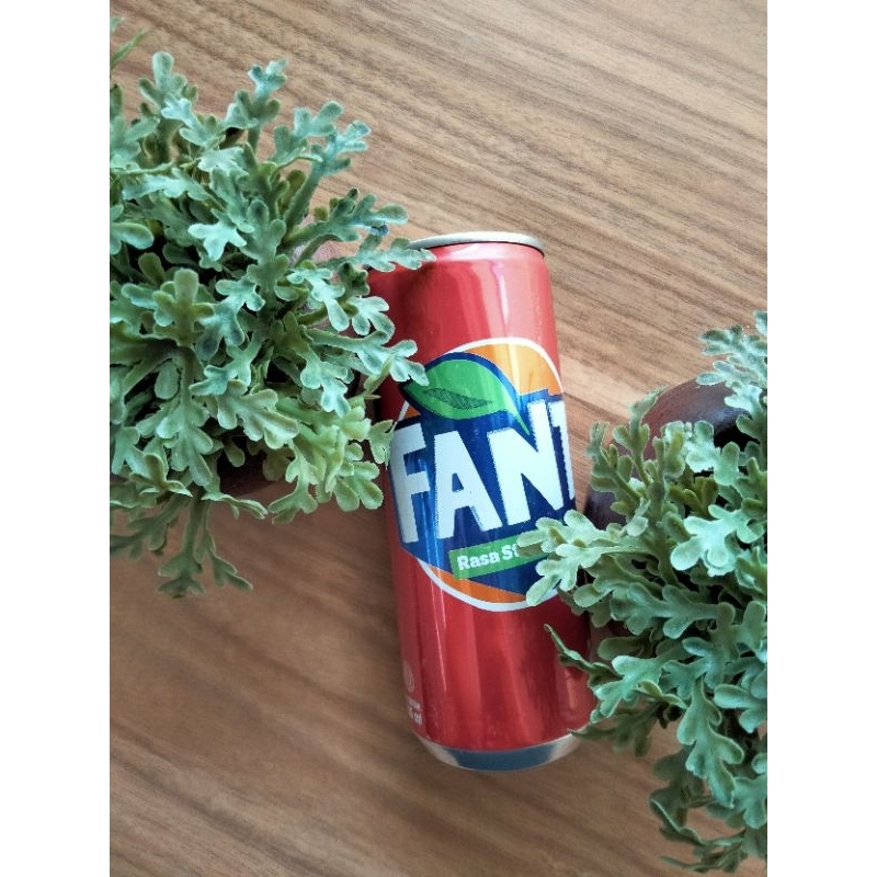 

FANTA STRAWBERRY CAN 250ML