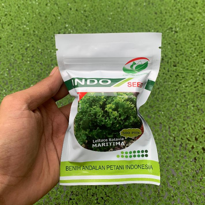 MARITIMA Benih selada batavia indo seed 500 pills