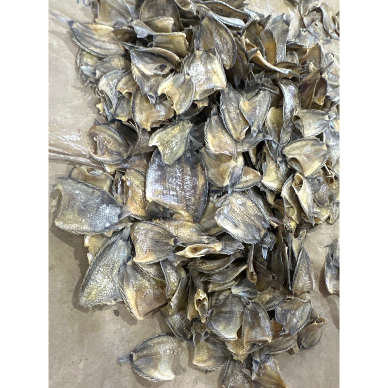 

sapek tabakang tawar