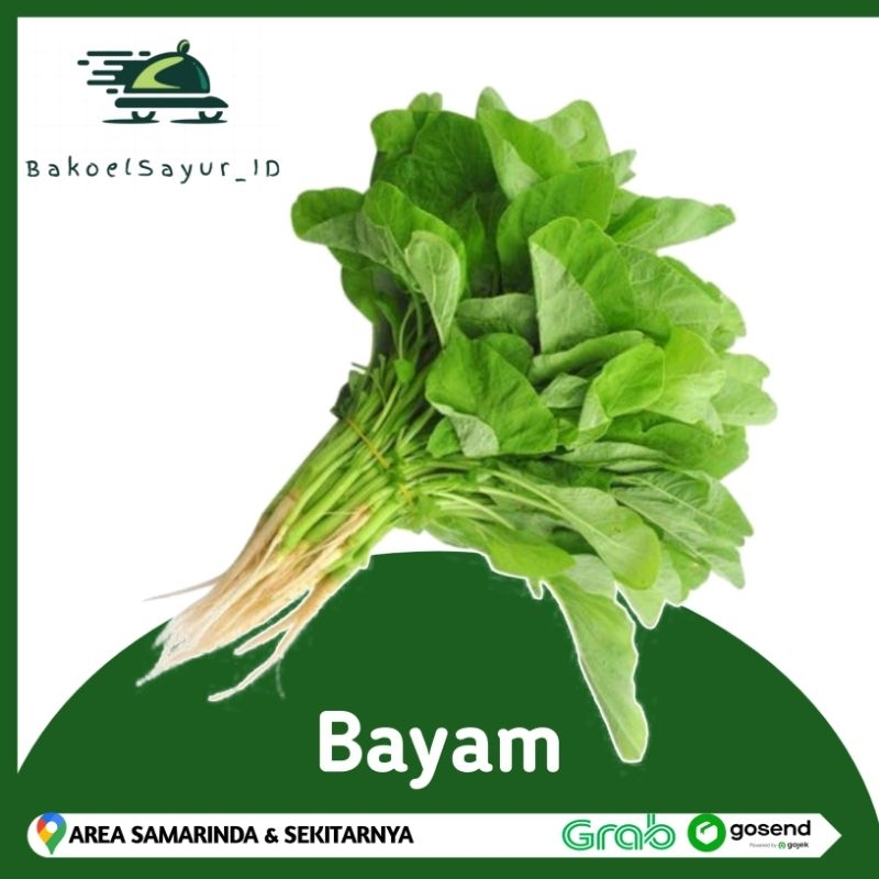 

Sayur Bayam Per Ikat / Segar / Bersih