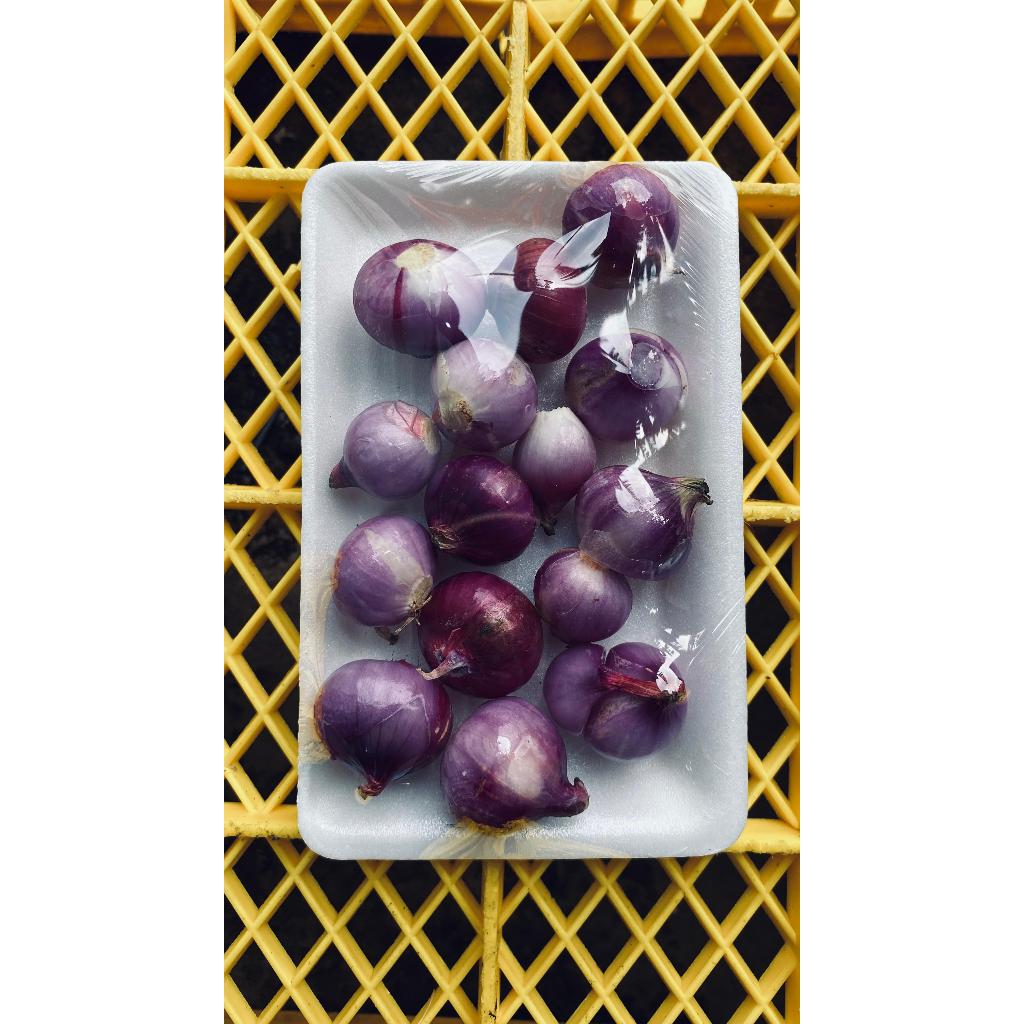 

bawang merah lokal 250gr