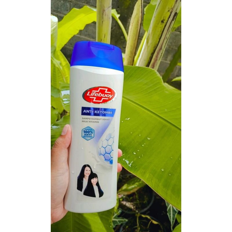 SHAMPOO LIFEBUOY ANTI KETOMBE DAN RAMBUT RONTOK 340 ml shampoo