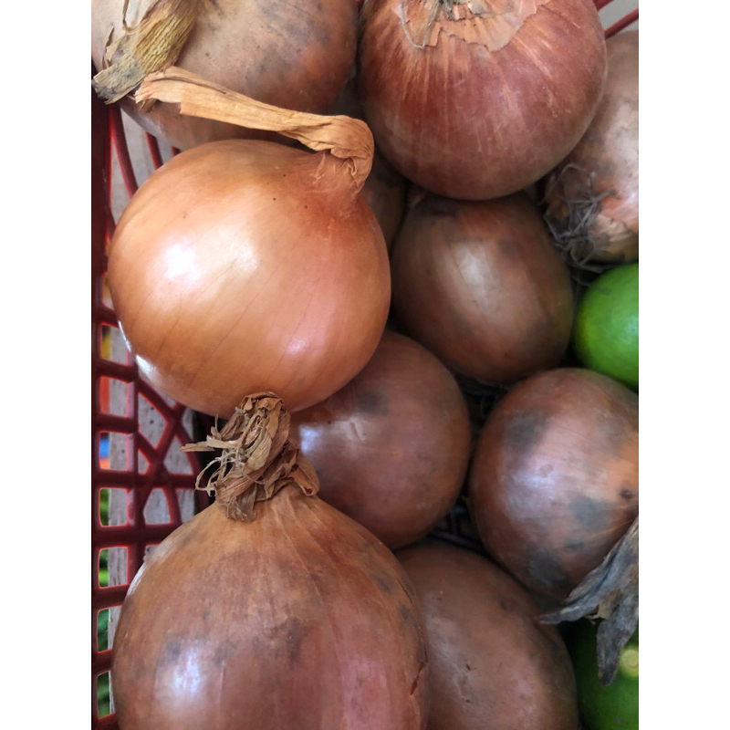 

Bawang Bombay