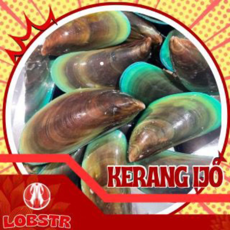 

Kerang Ijo Beku – Kualitas Ekspor 1 Kg | Fresh & Siap Masak