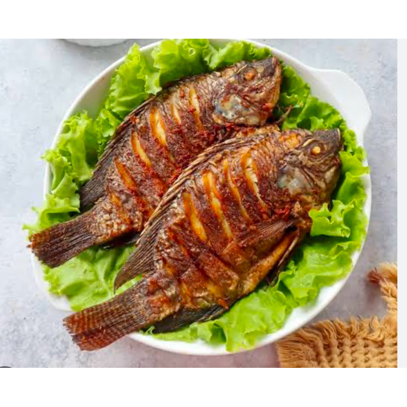 

Nila Marinasi Frozen Vaccum