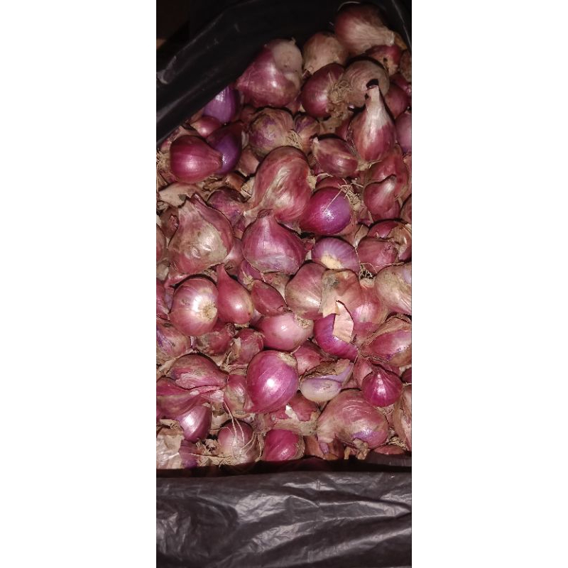 

BAWANG MERAH