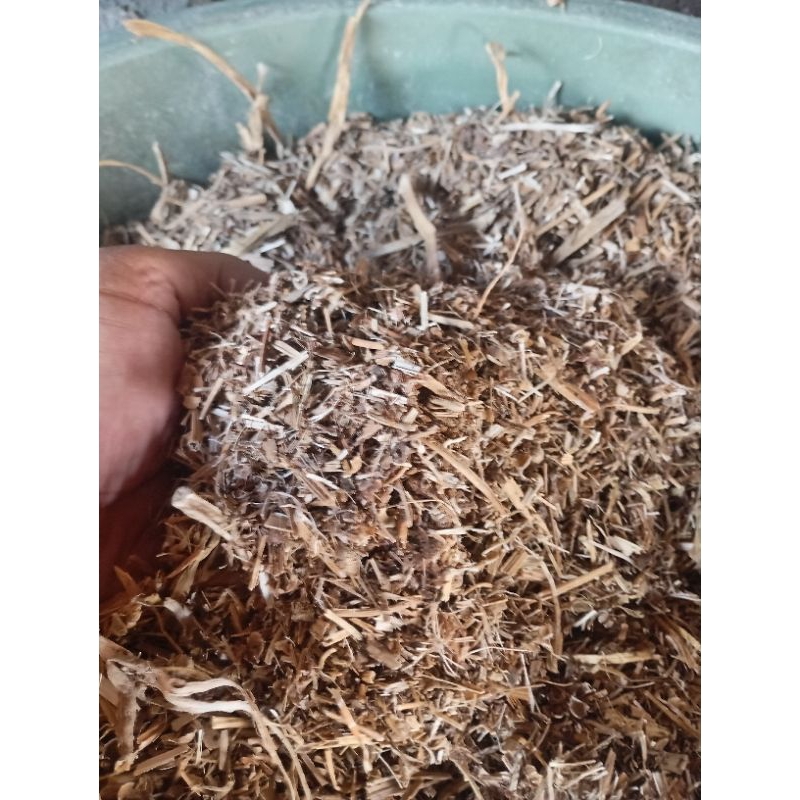 kangkung kering/ rendeng kangkung pakan kambing,kelinci dan sapi