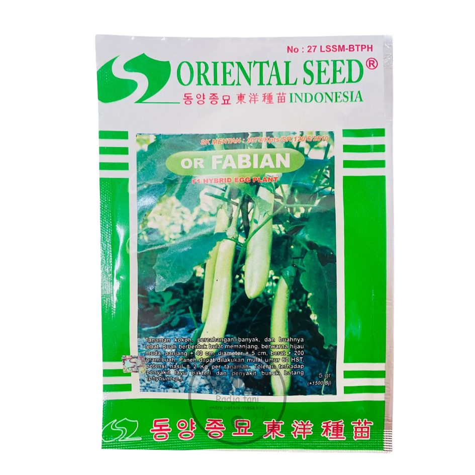Benih - Benih terong hijau f1 or FABIAN isi 5gr dari ORIENTAL SEED (ORIENTAL SEED)
