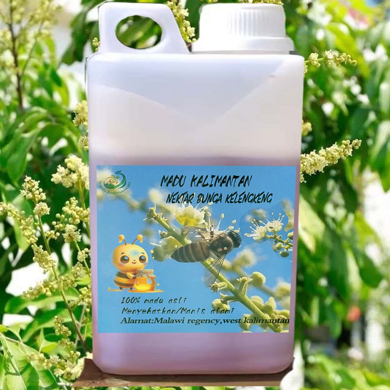 

Madu Kalimantan // madu asli // madu nektar bunga kelengkeng ( 1kg, 500 gr )