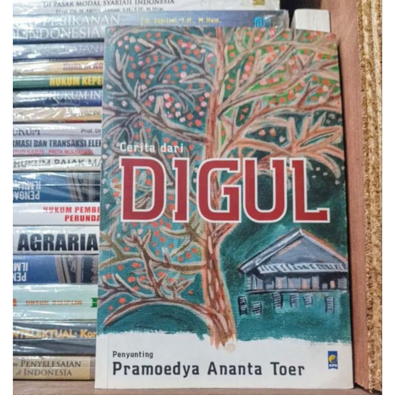 Pramoedya Ananta Toer - Cerita dari DIGUL