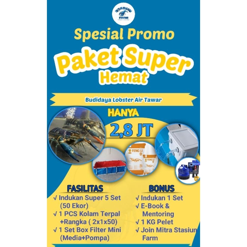 PAKET HEMAT BUDIDAYA LOBSTER AIR TAWAR