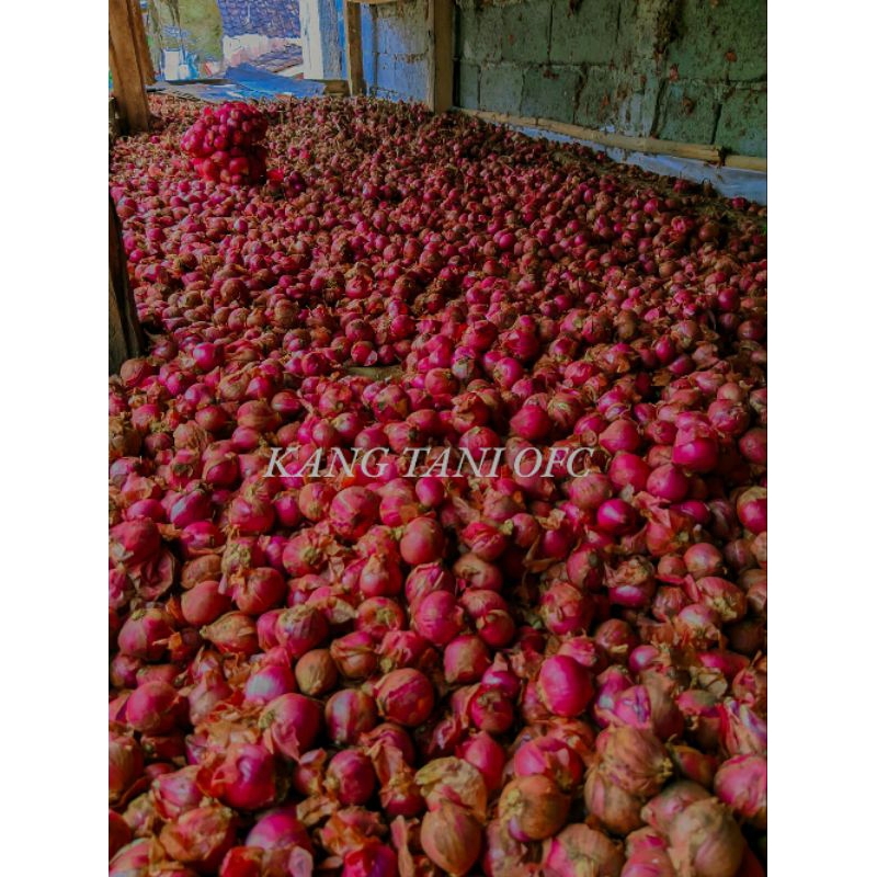 

bawang merah lokal 1 kg (ukuran besar) produksi Jawabarat