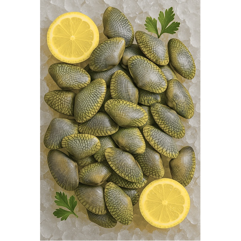 

Kerang batik fresh | kerang seafood | 1kg