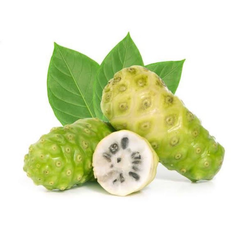 

BUAH MENGKUDU SEGAR (PACE) 1KG FRESH BARU PETIK