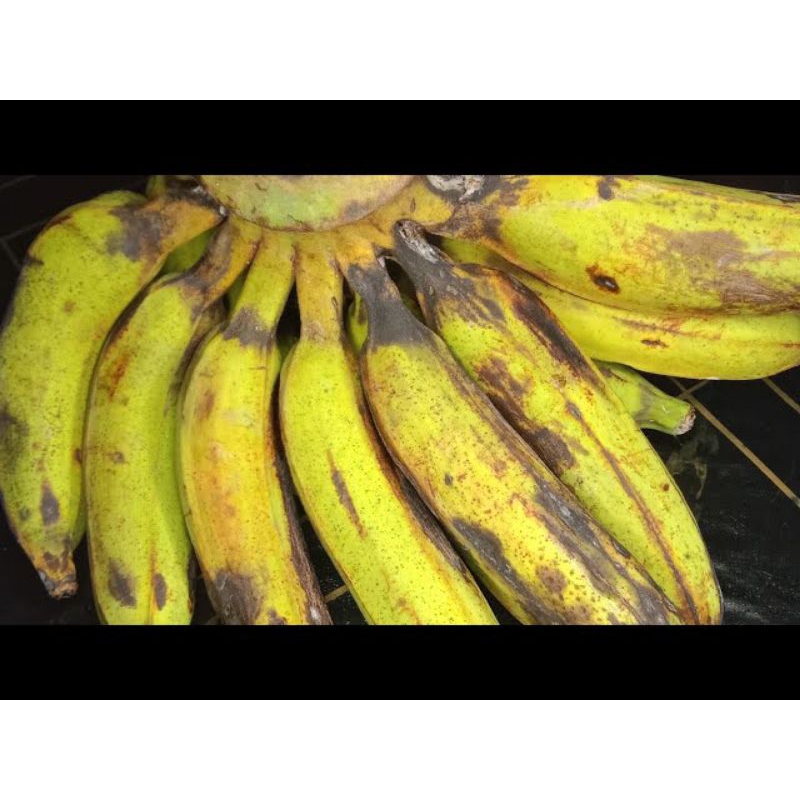 Pisang Nangka Matang Buah Pisang nangka 1kg