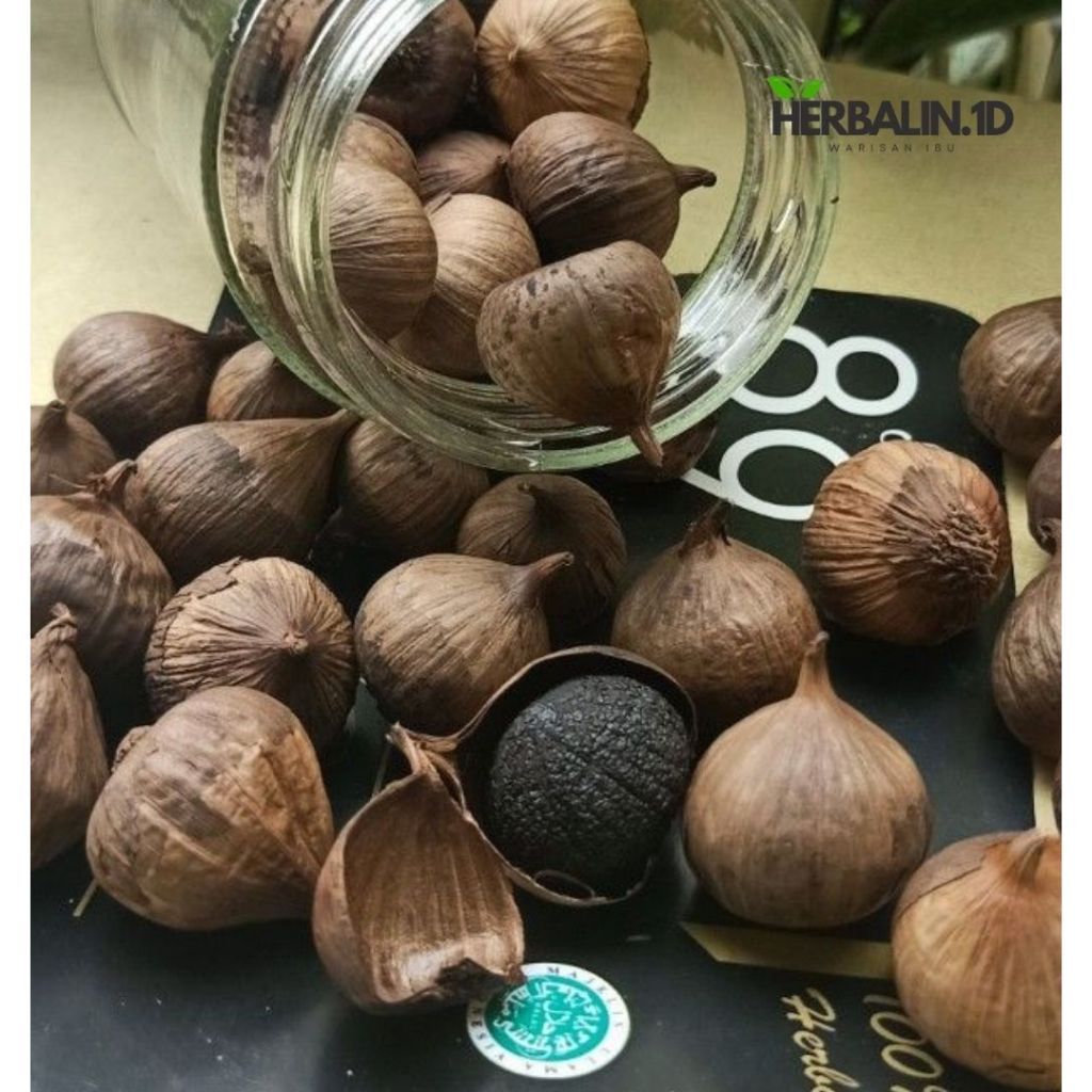 

Bawang Hitam Tunggal / Black Garlic Tunggal Premium / Bawang Hitam Herbal
