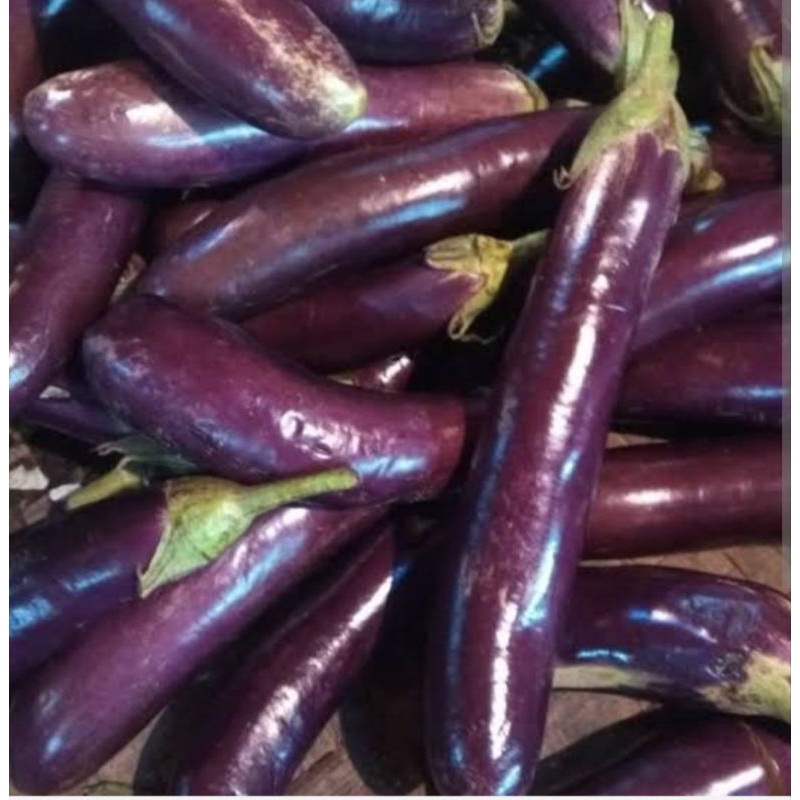 

terong ungu/ purple eggplant