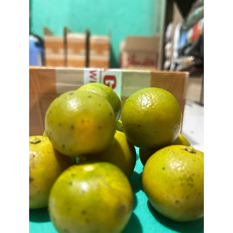 

1kg jeruk sonkit/jeruk kasturi/jeruk kunci/lemon cui (JERUK MATANG UKURAN JUMBO)