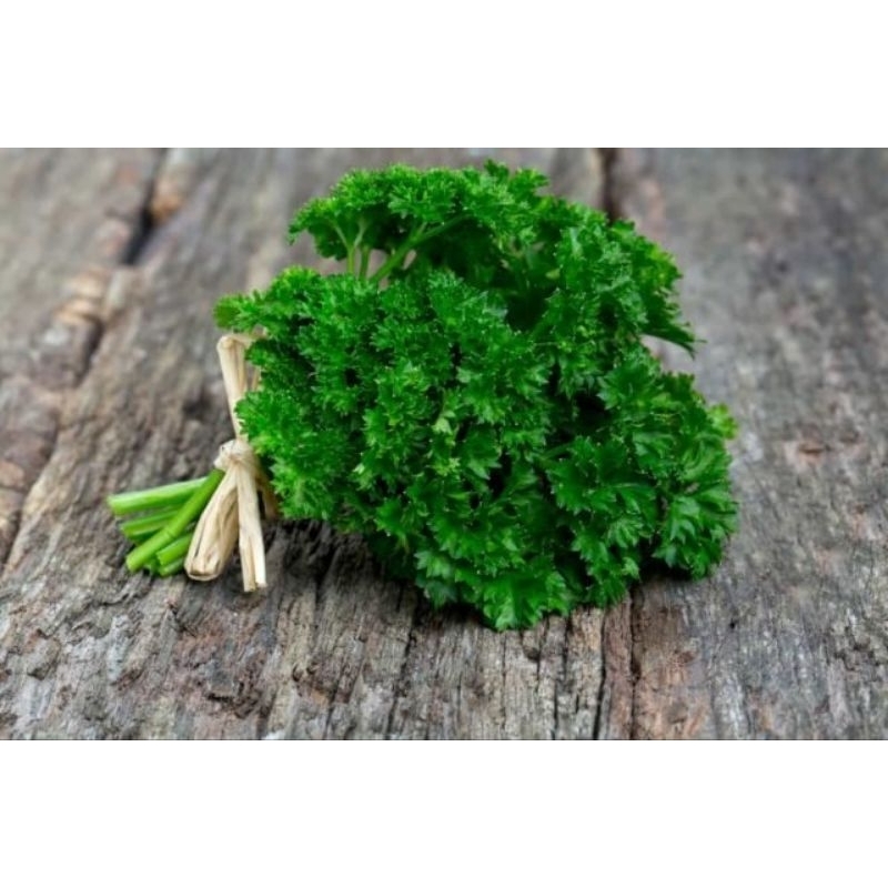 

JYOTI PARSLEY KERITING 250 GR