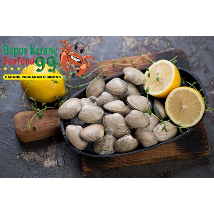 

Kerang Tahu Kerang Kepa 500gr Seafood