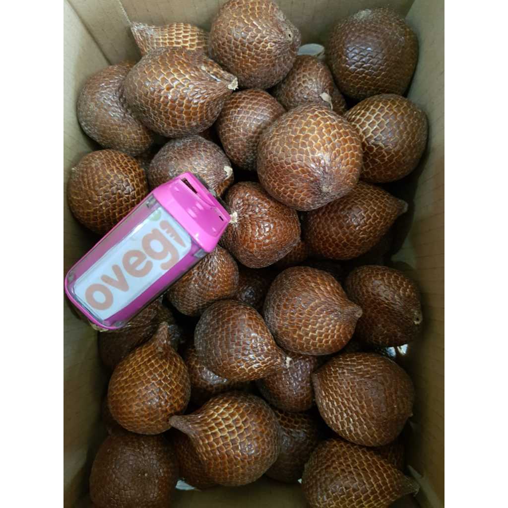 

SALAK MADU YOGYAKARTA/SALAK MADU JOGJGA/SALAK MADU 1/2 KG,1KG
