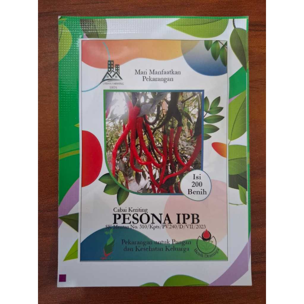 200 BUTIR BENIH CABE KERITING PESONA IPB