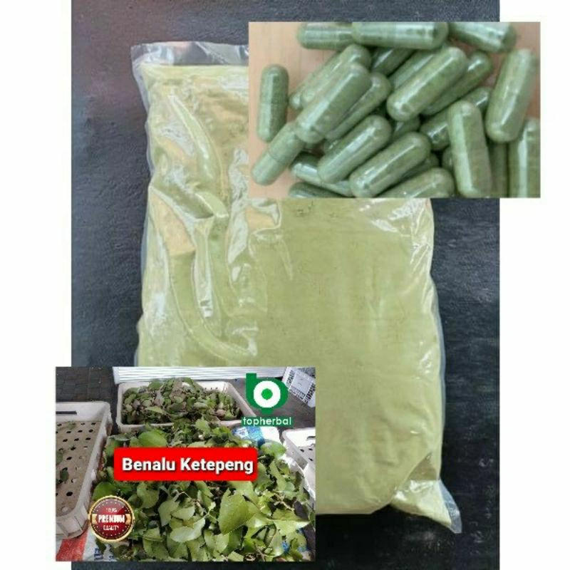 

Kapsul Benalu Ketepeng isi 100 Kapsul (Kering Hijau Organik Super Premium)