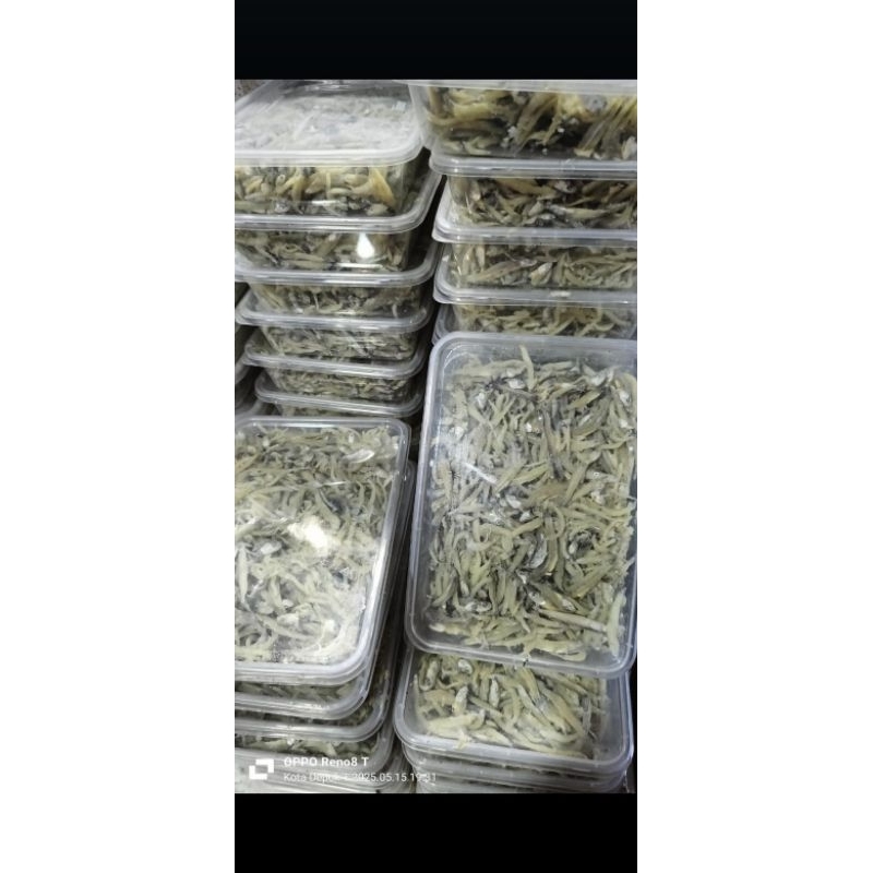 

ikan teri medan asin