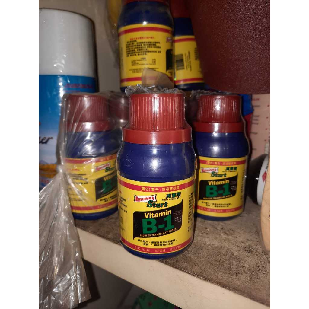 Vitamin B1 Liquinox Start 100ml – Pupuk Perangsang Akar & Anti Stres Tanaman