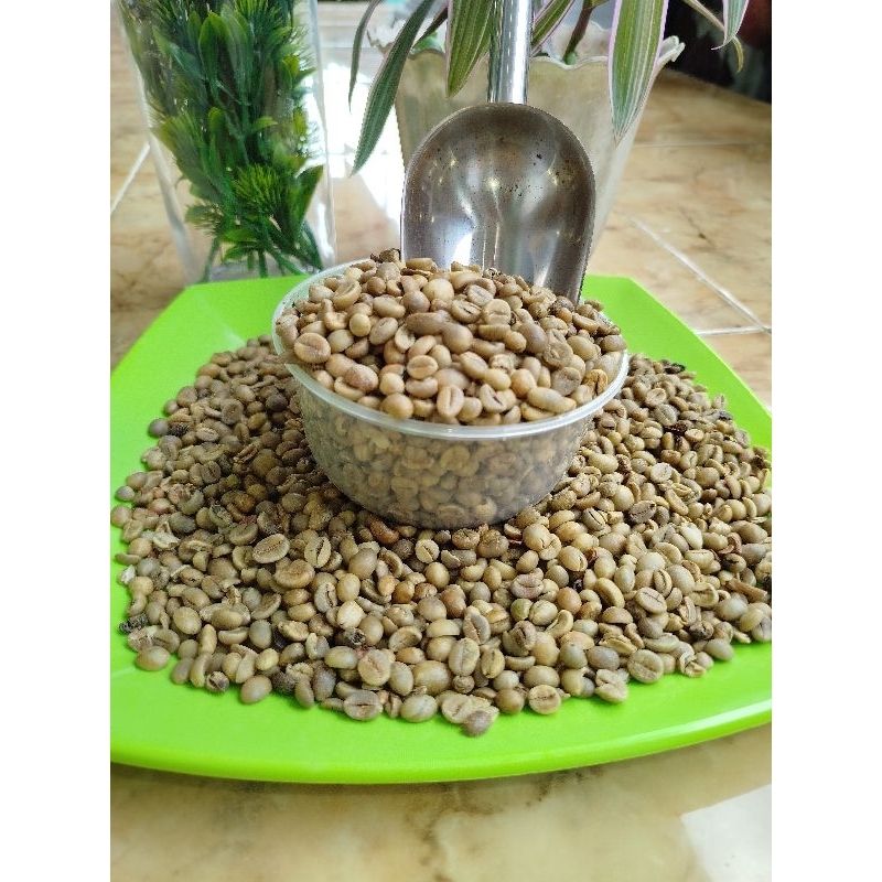 

GreenBean Robusta DAMPIT kopi ASALAN