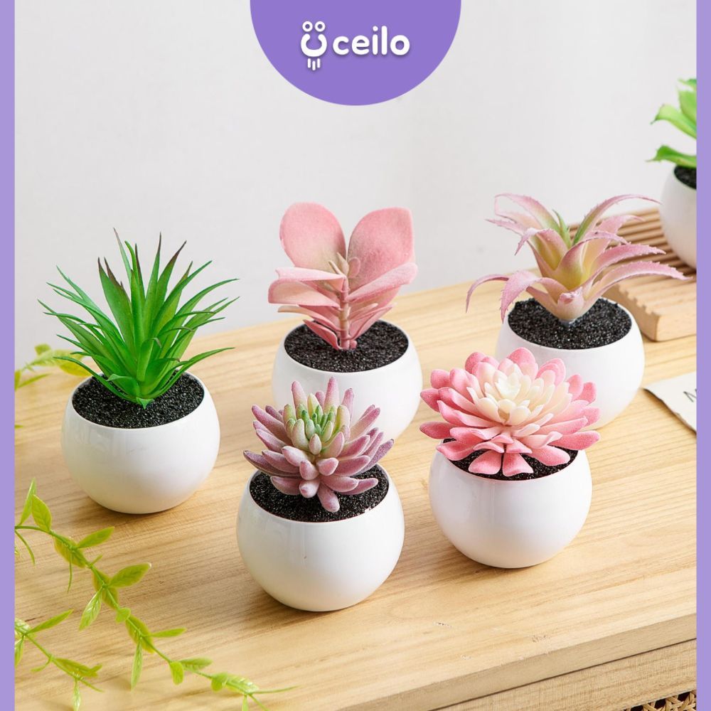 CEILO Kaktus Sukulen Plastik Imitasi | Succulent Artificial | Tanaman Kaktus Palsu | Sukulen Plastik