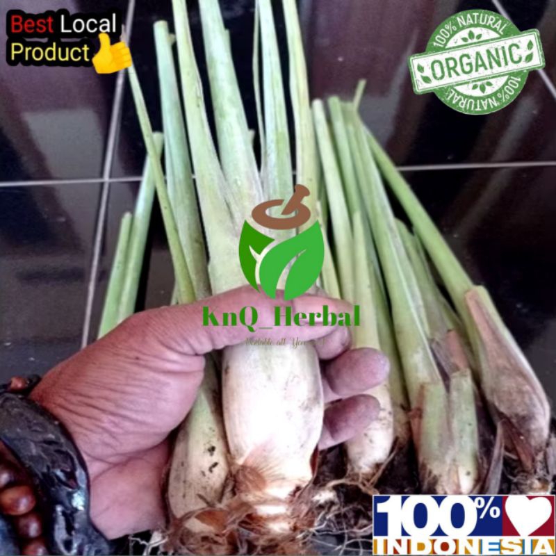 

batang sereh gajah batang sereh jumbo segar 1kg sudah bersih