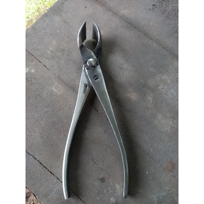 catok bonsai miring cembung