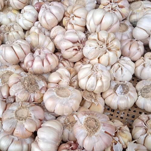 

Bawang putih bersih 500 gram