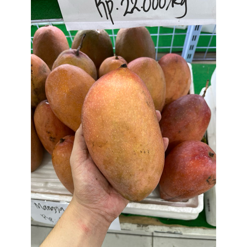 

Mangga Thailand Yu Wen Manis Asli 1 KILO mango merah hijau