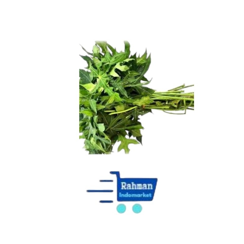 

Daun pucuk pepaya 1ikat 80gr