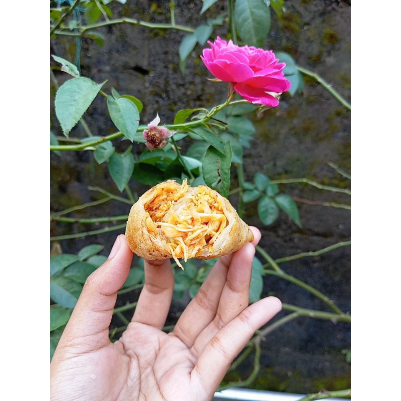 

Cireng Isi Ayam Suwir Isi 6