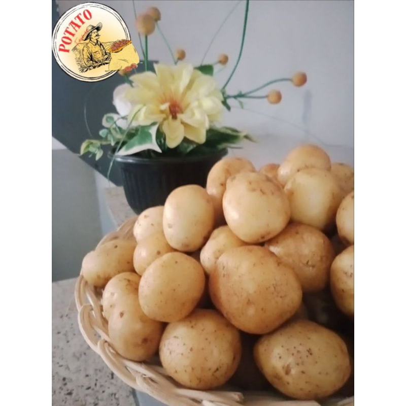 

Kentang dieng segar dalam variasi 500 gr, 1kg, 5kg, 20kg sampai 25kg (Berat 10kg)