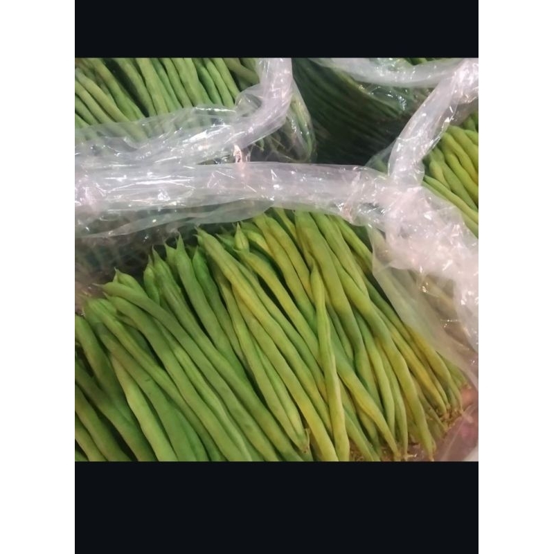 

buncis sayur siap komsumsi dan fress 250gram
