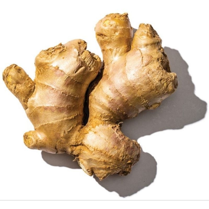 

jahe putih suger / selalu fresh 250gr