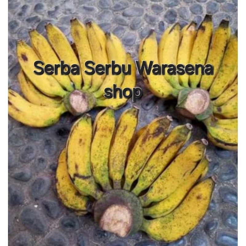 

Pisang Raja Bulu kwalitas dijamin