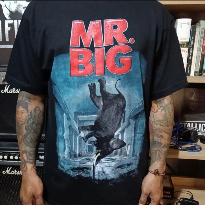 Kaos band/ Mr big