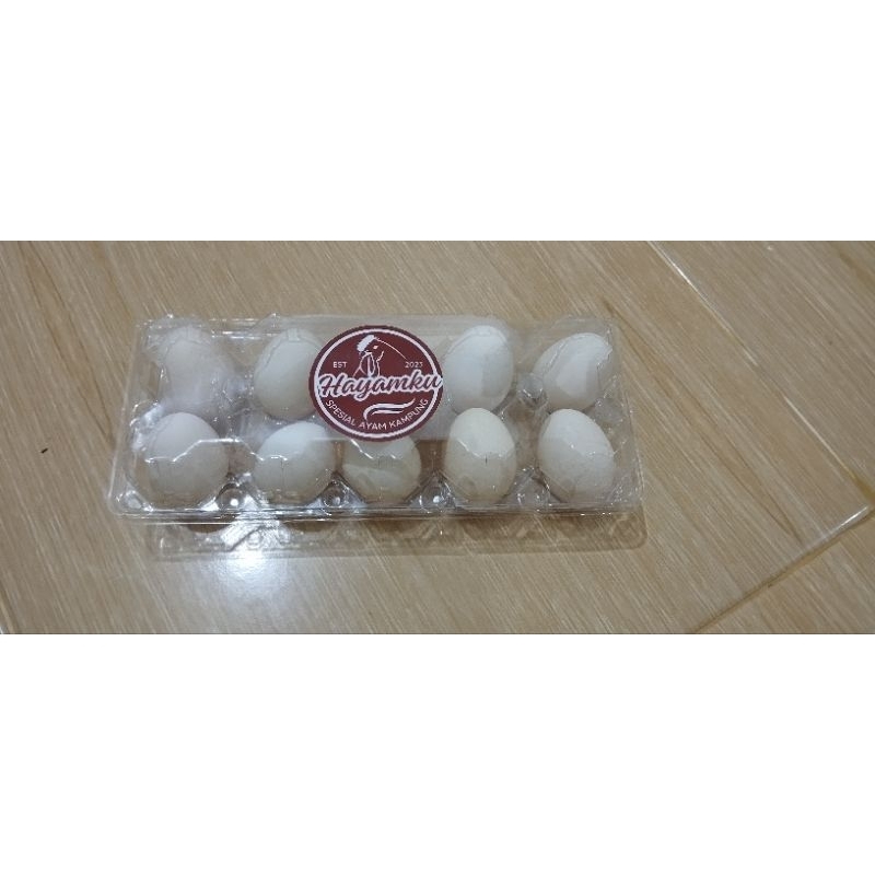 

Telur Ayam Kampung Fresh Dari Kandang
