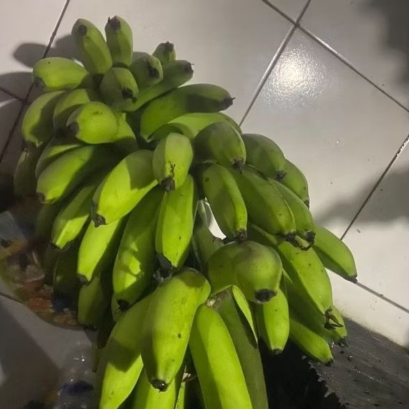 

Buah Pisang Mentah TP Hitam Putih Pisang Bangkaulu