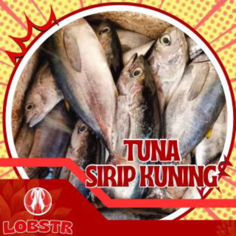 

Tuna Sirip Kuning Beku – Kualitas Ekspor 1 Kg | Fresh & Siap Masak