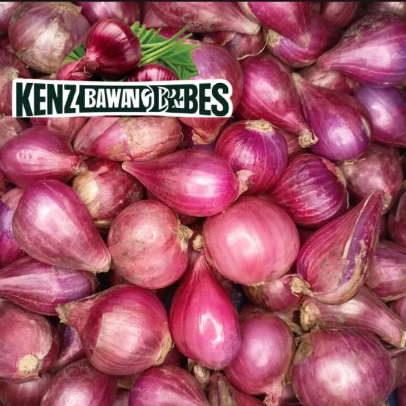

BAWANG MERAH BREBES 1KG SUPER FRESH