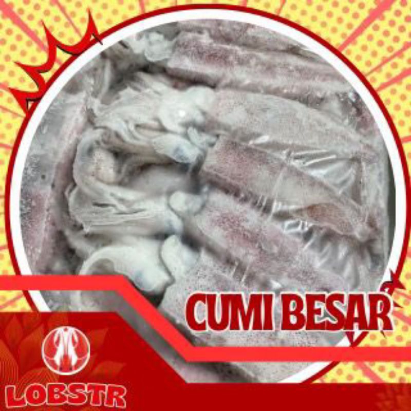 

Cumi-Cumi Besar Beku – Kualitas Ekspor 500 gr | Fresh & Siap Masak